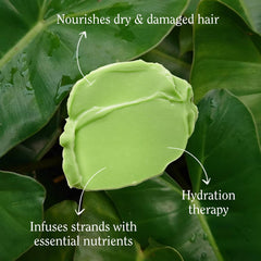 Soft and manageable hair after using California Naturals Super Moisture Conditioner