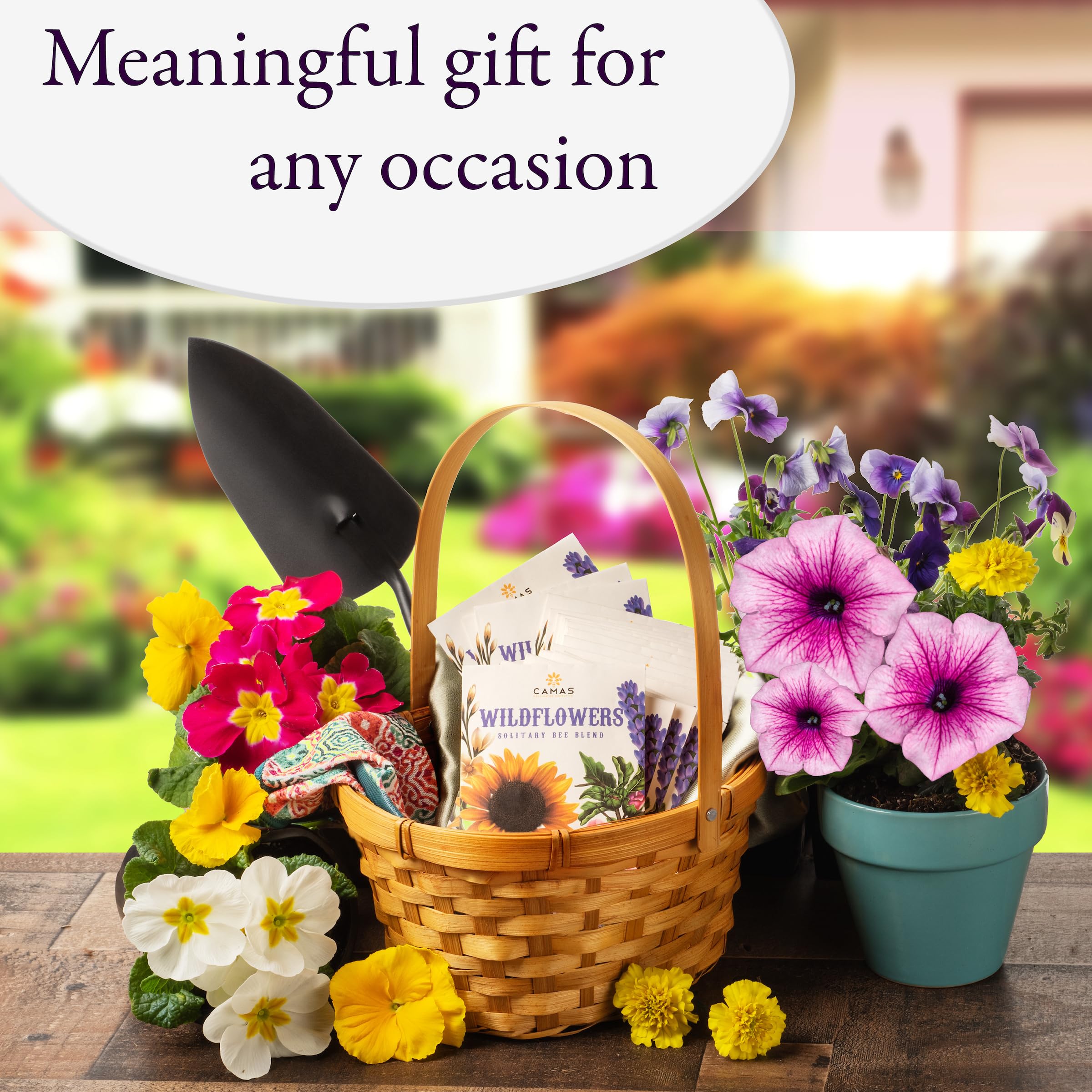 Camas Pollinator Seed Packets suit easy, low-maintenance garden plantings.