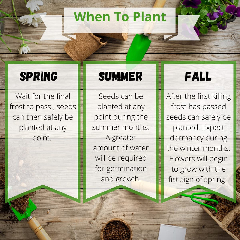 Camas Pollinator Seed Packets cover up to 10 square feet of space.