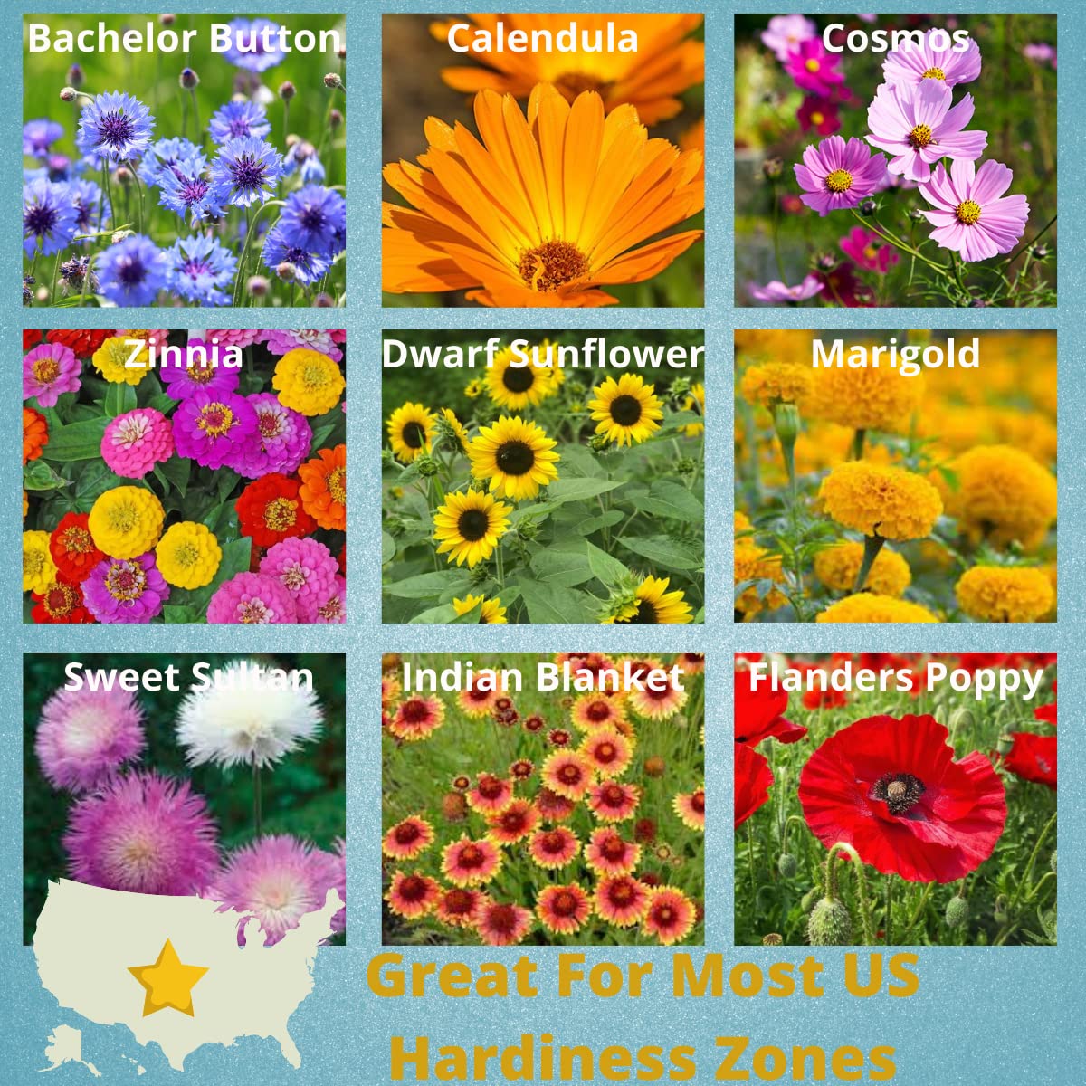 Camas Pollinator Seed Packets showcase a vibrant wildflower mix in garden beds.