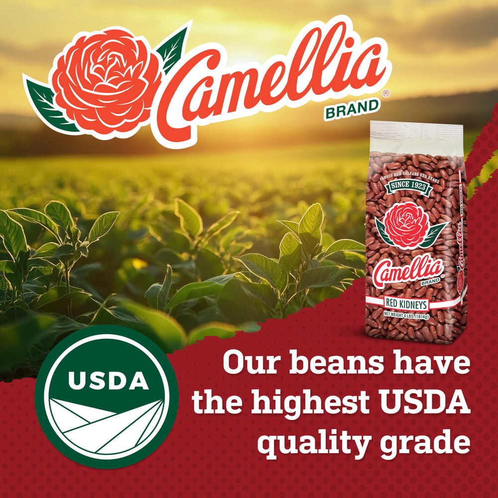 Camellia Brand red beans and rice Cajun dish concept with authentic flavor potential.