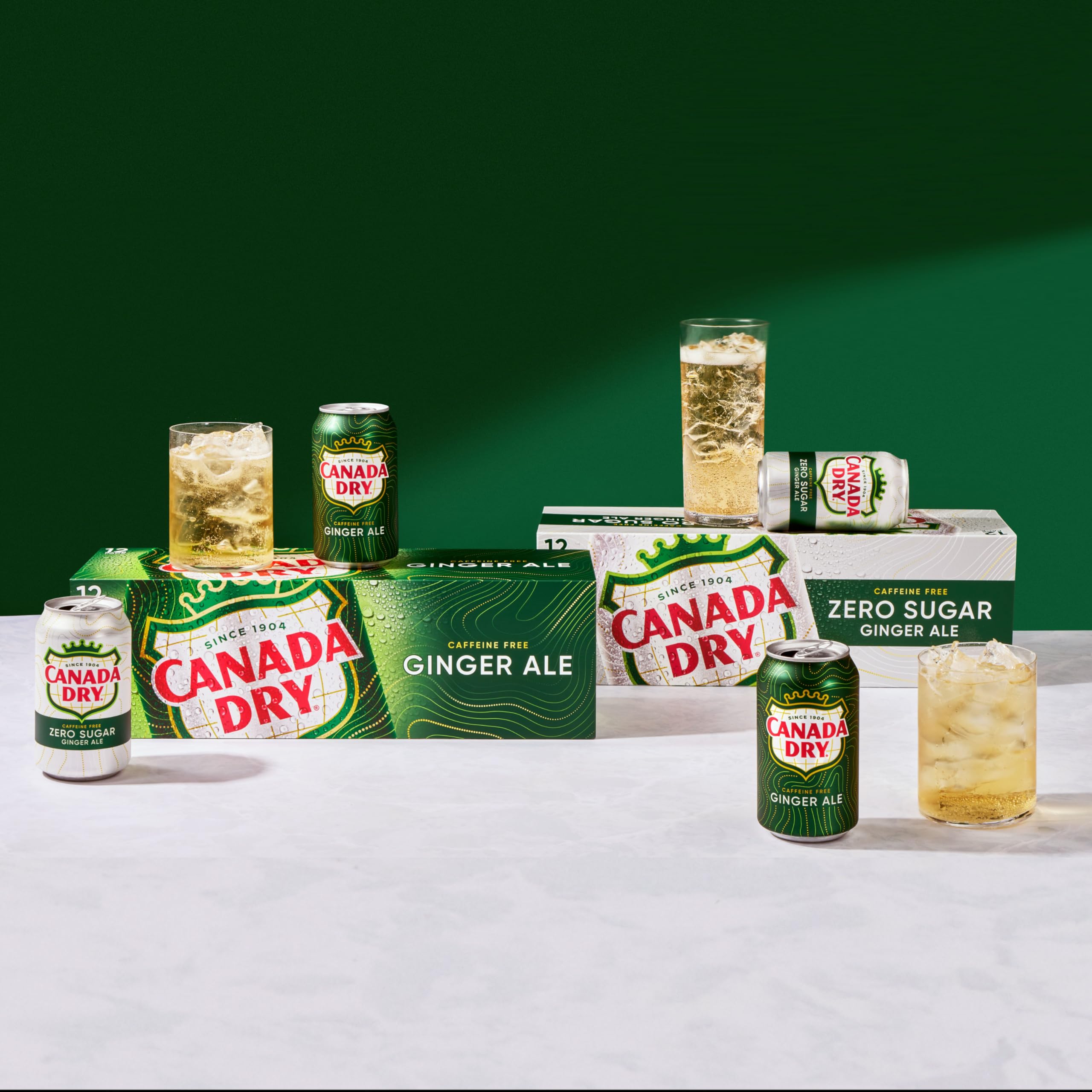 Canada Dry Ginger Ale can with label visible, highlighting classic ginger flavor