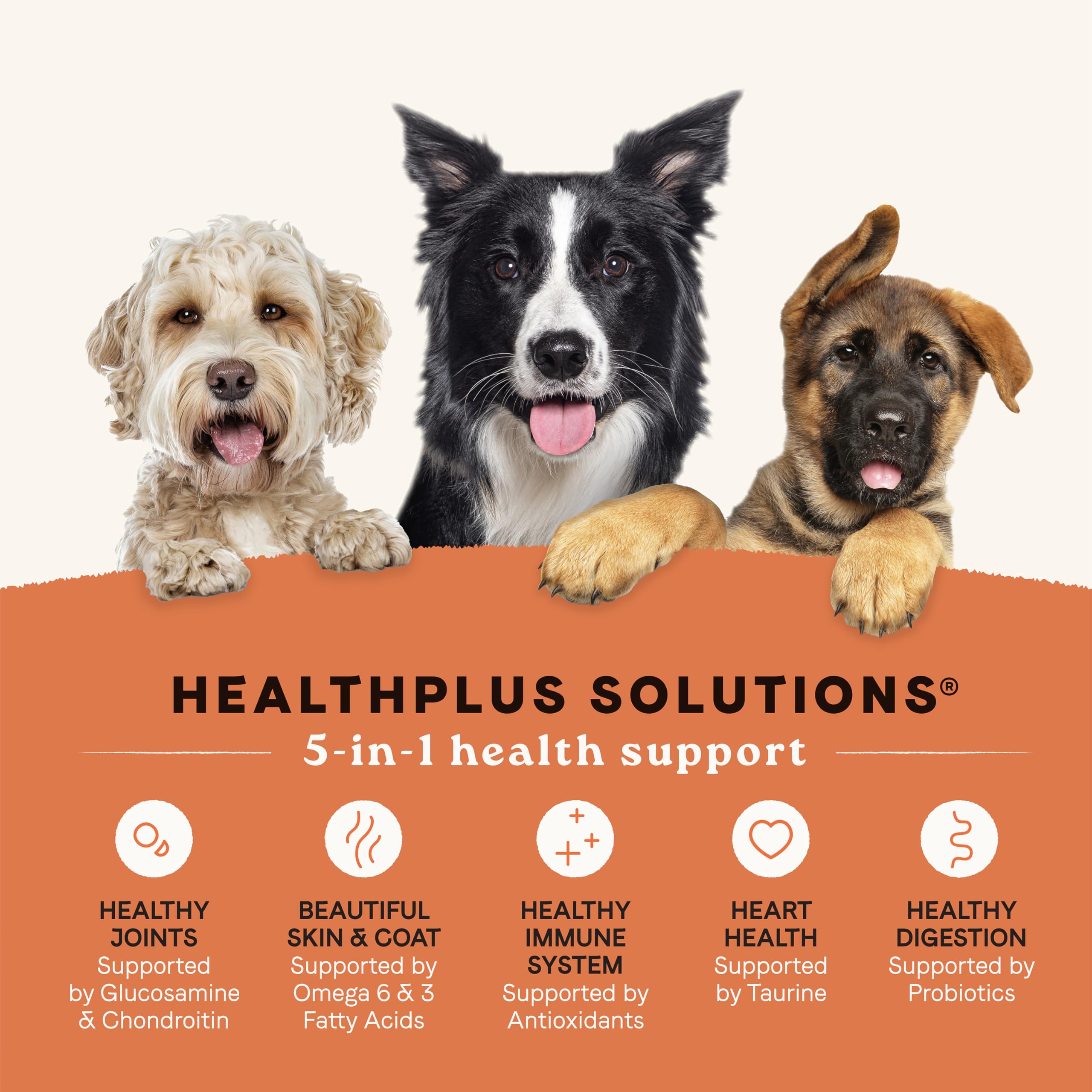 CANIDAE All Life Stages protein-variety kibble with turkey, lamb, and fish for robust protein