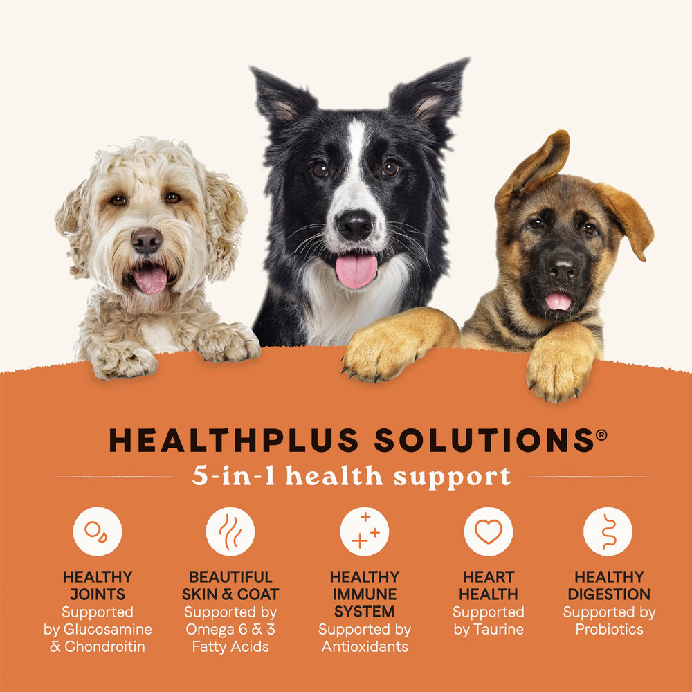 CANIDAE All Life Stages protein-variety kibble with turkey, lamb, and fish for robust protein