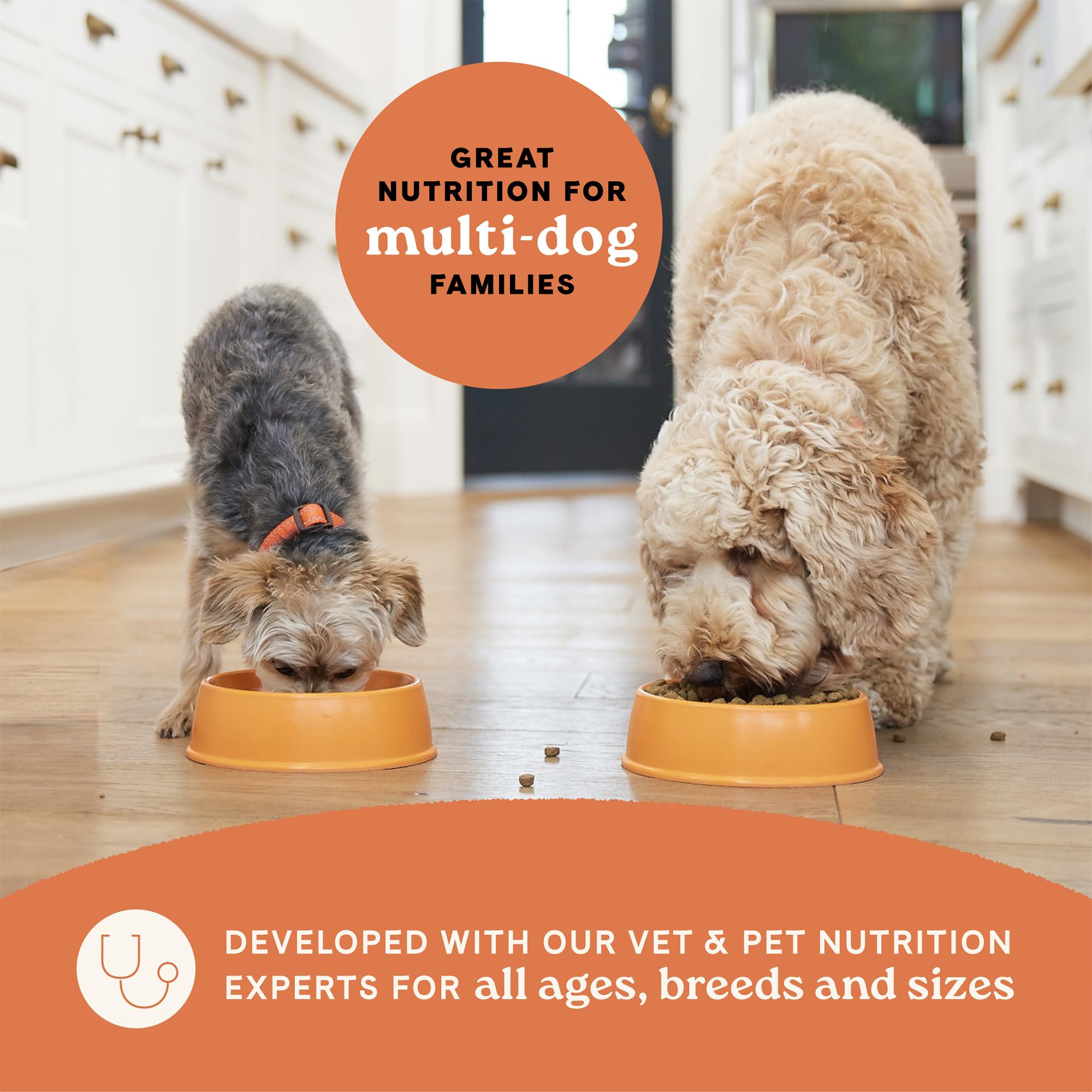 CANIDAE sustainable packaging and regenerative sourcing for planet-friendly dog nutrition