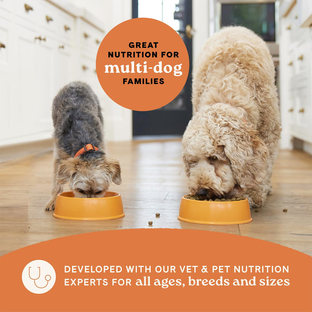 CANIDAE sustainable packaging and regenerative sourcing for planet-friendly dog nutrition