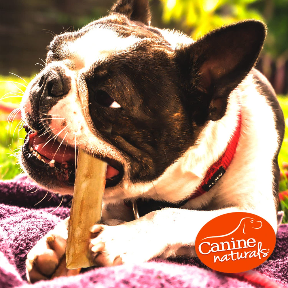 Canine Naturals dental-friendly chew cleans teeth while satisfying chewing instinct