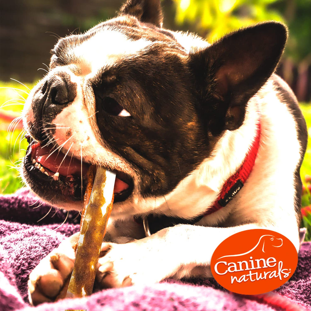 Canine Naturals no artificial flavors or fillers, promoting pure ingredients.
