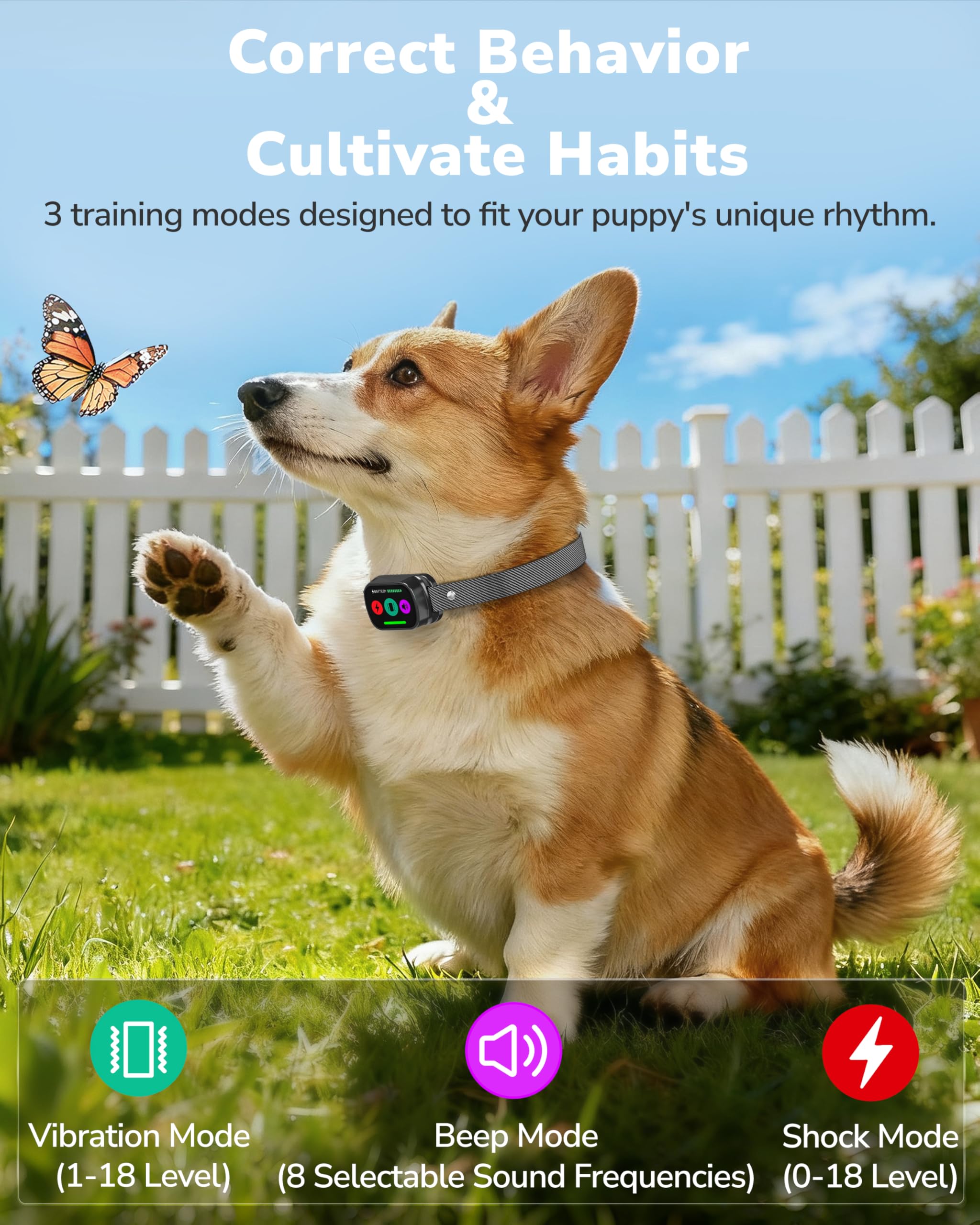 Canivix training modes with beep, vibration, and stimulation for tailored training sessions.