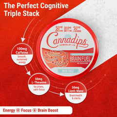 Cannadips Brain Fuel Variety Pack back view with quick details for informed use