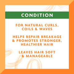 Cantu shea butter ingredients close-up emphasizing natural formula for conditioning.