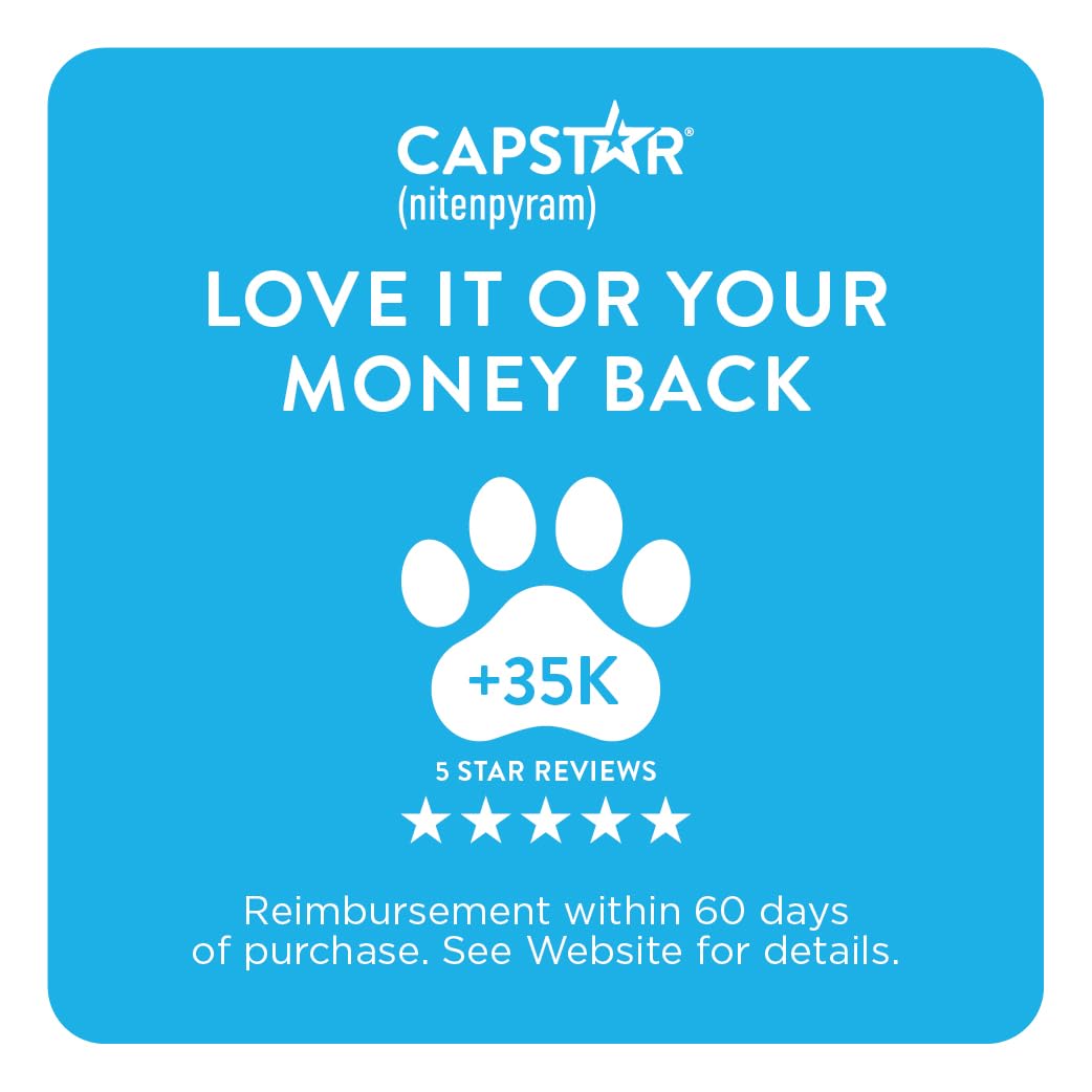 Capstar before-after fleas reduction on cat after treatment.