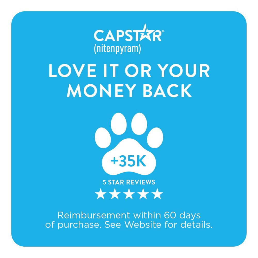 Capstar before-after fleas reduction on cat after treatment.