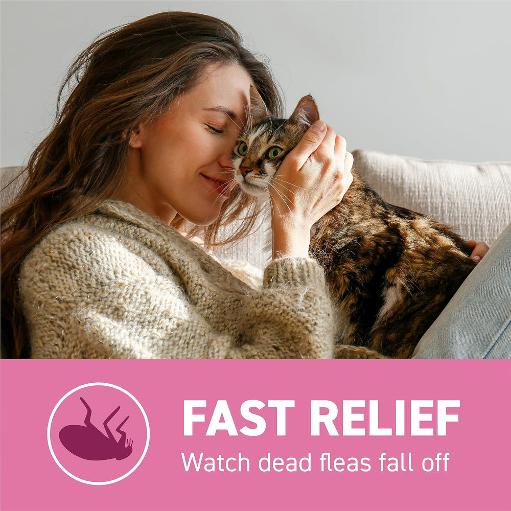 Capstar fleas dead on fur illustrating rapid flea kill results.