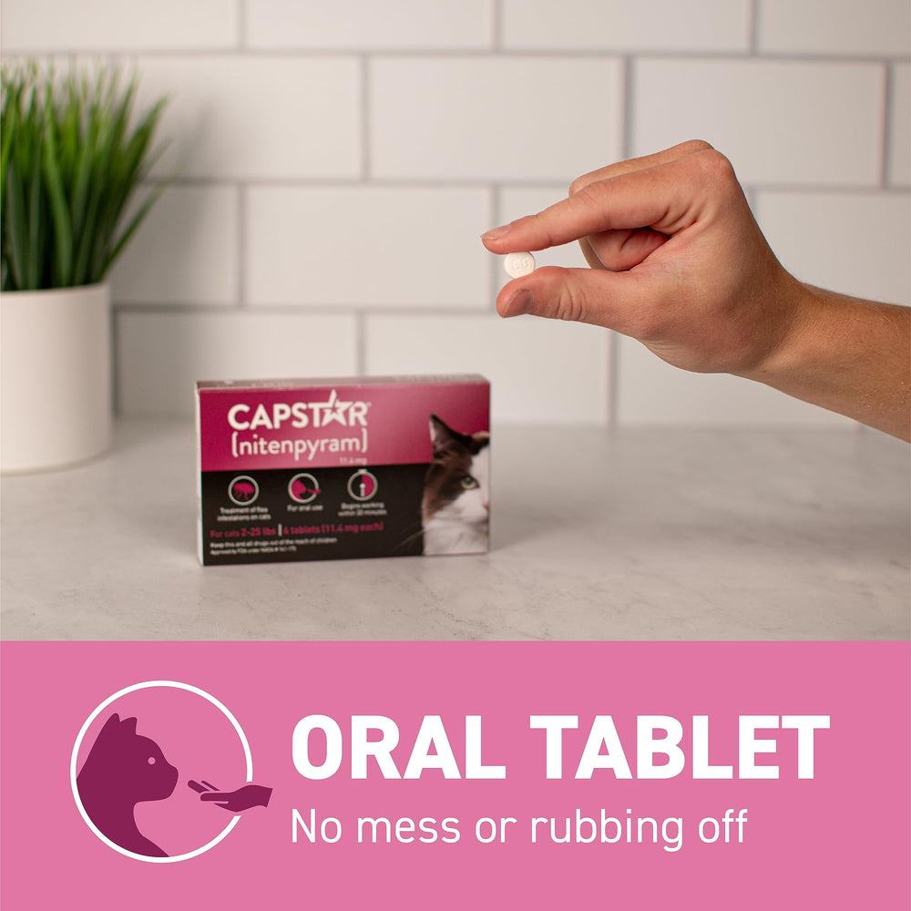 Capstar dosing shown by a pet owner at home.