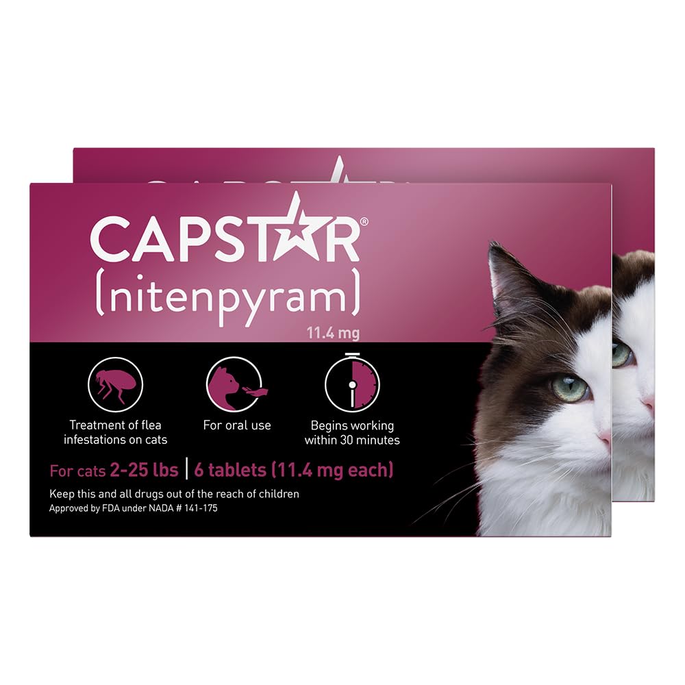 Capstar cat pill administration scene suggests simple at-home flea care.