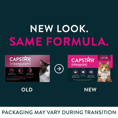 Capstar tablet administered in mouth for fast flea relief.