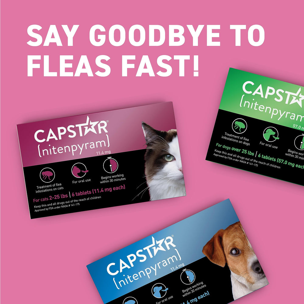 Capstar cat tablet closeup showing texture and size.