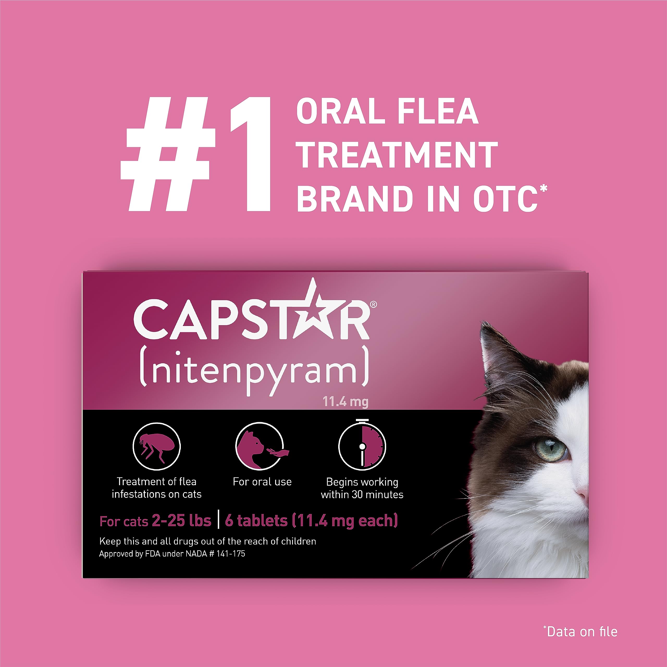 Capstar tablet in food dish for easy home dosing.