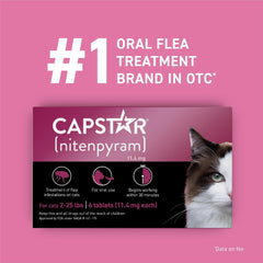 Capstar tablet in food dish for easy home dosing.