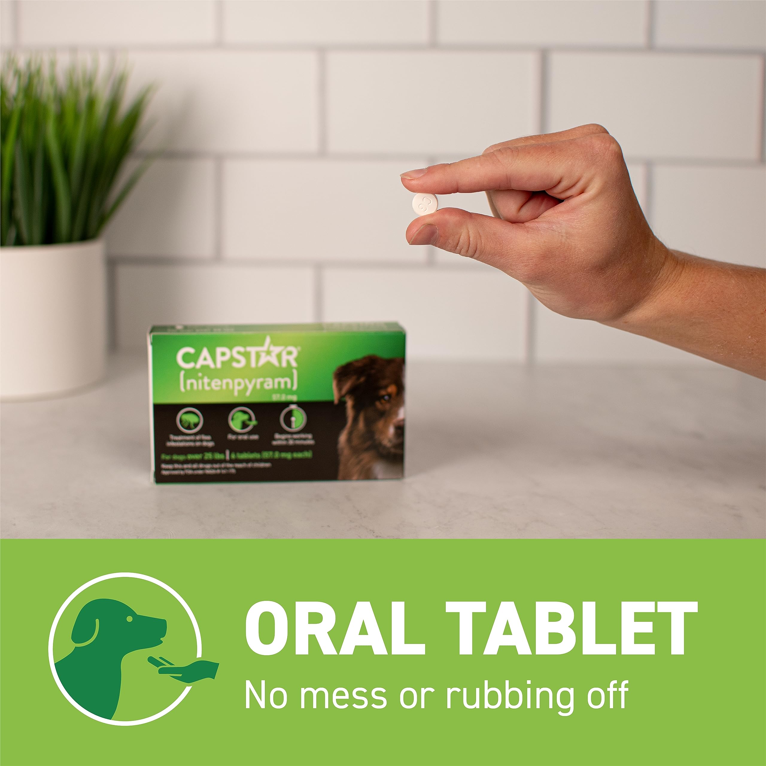 Capstar box indicating no prescription is required.