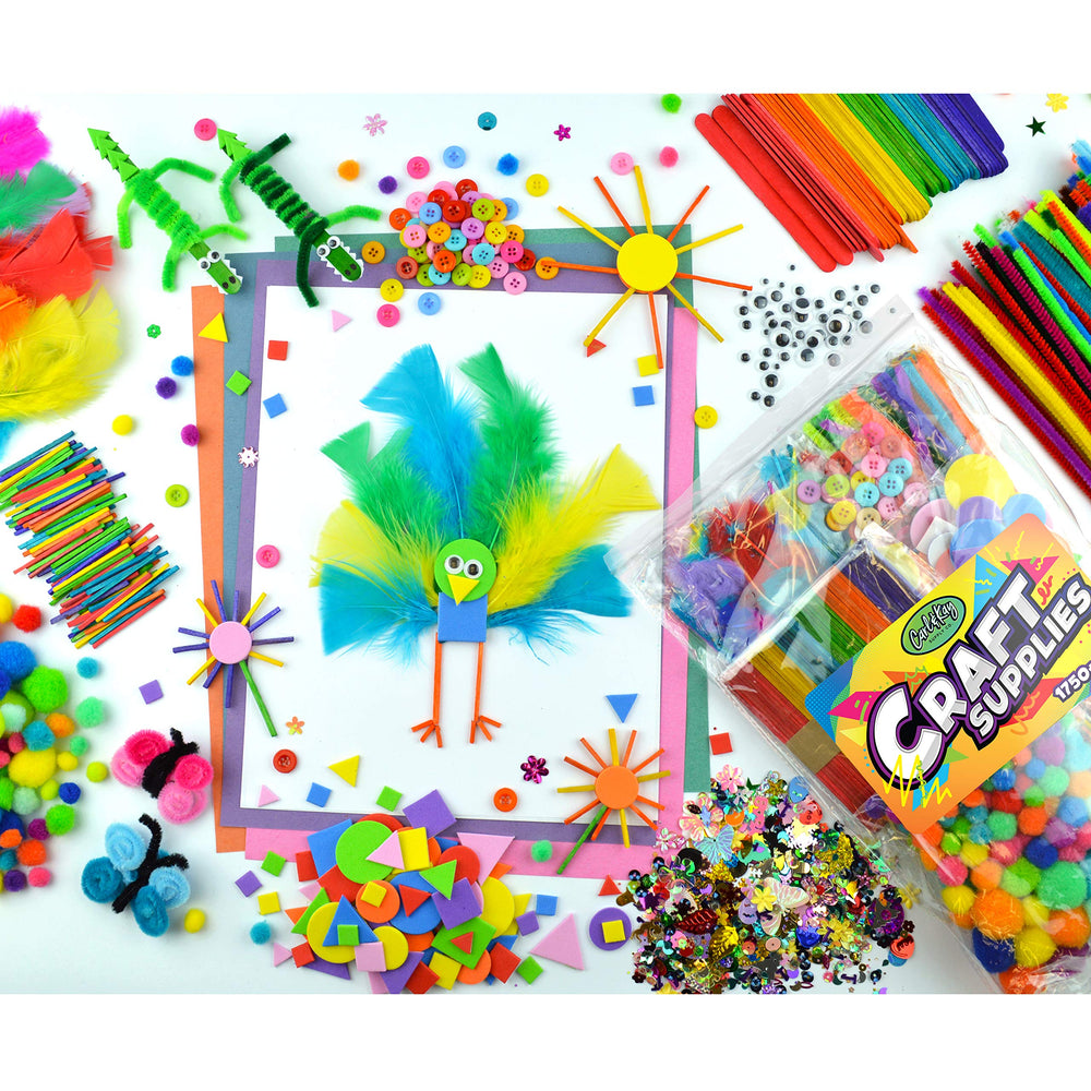 Carl & Kay versatile kit supports classrooms and home projects.