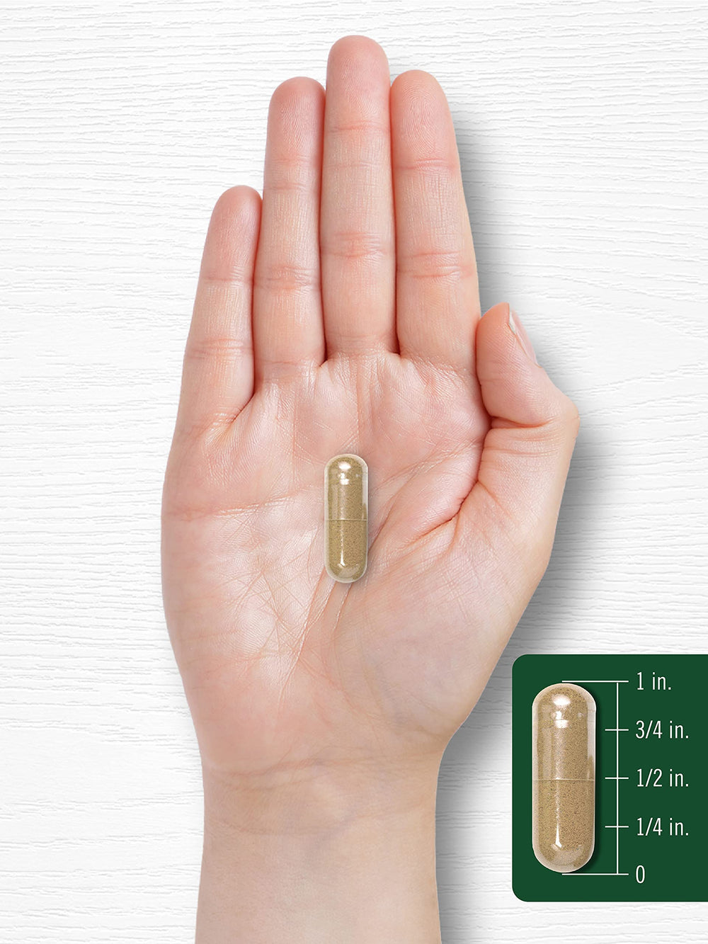 Carlyle Artichoke Extract outer box, ready-to-use health supplement.