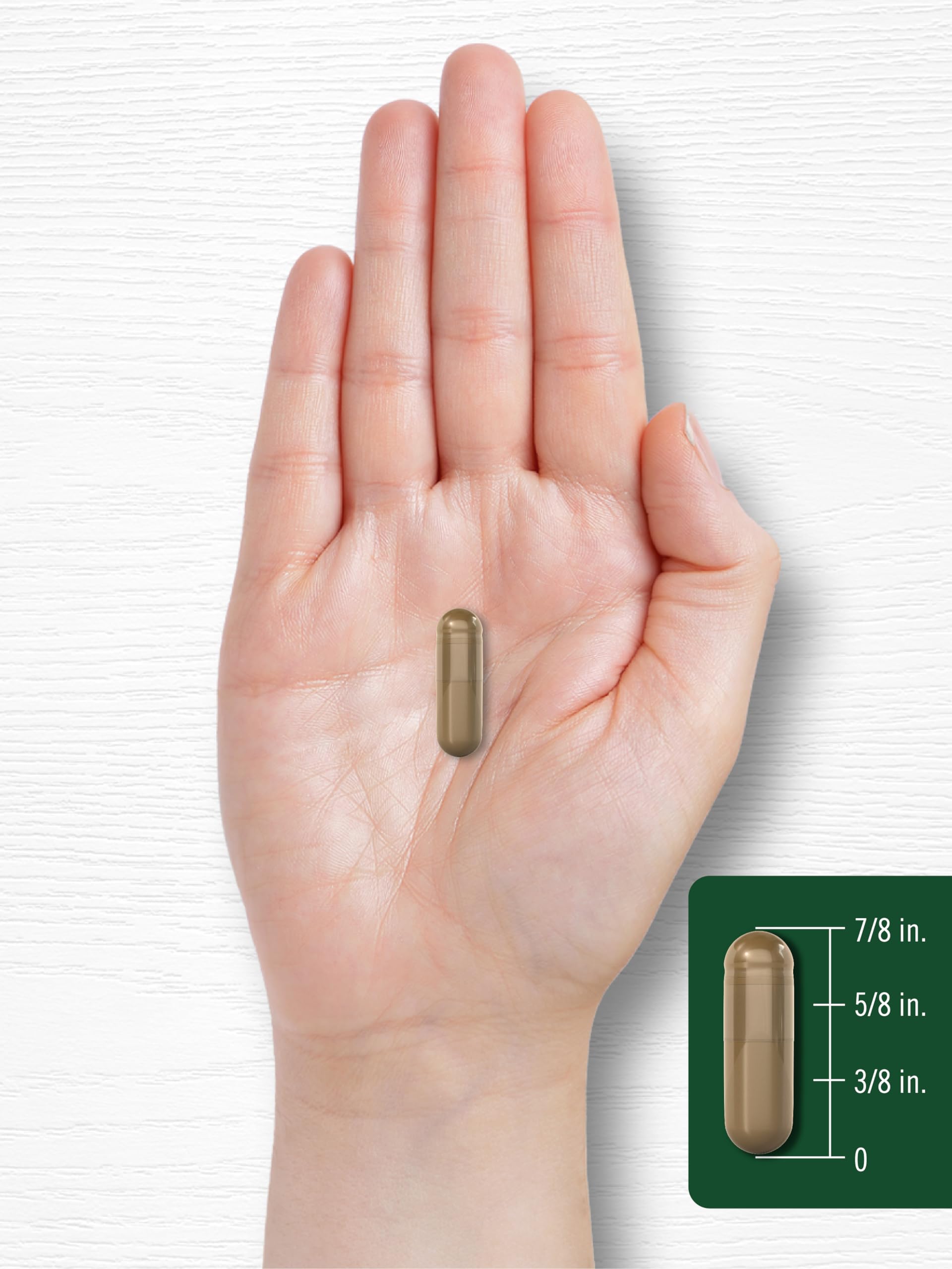 Carlyle Astragalus Root Capsules plant detail emphasizing herbal heritage