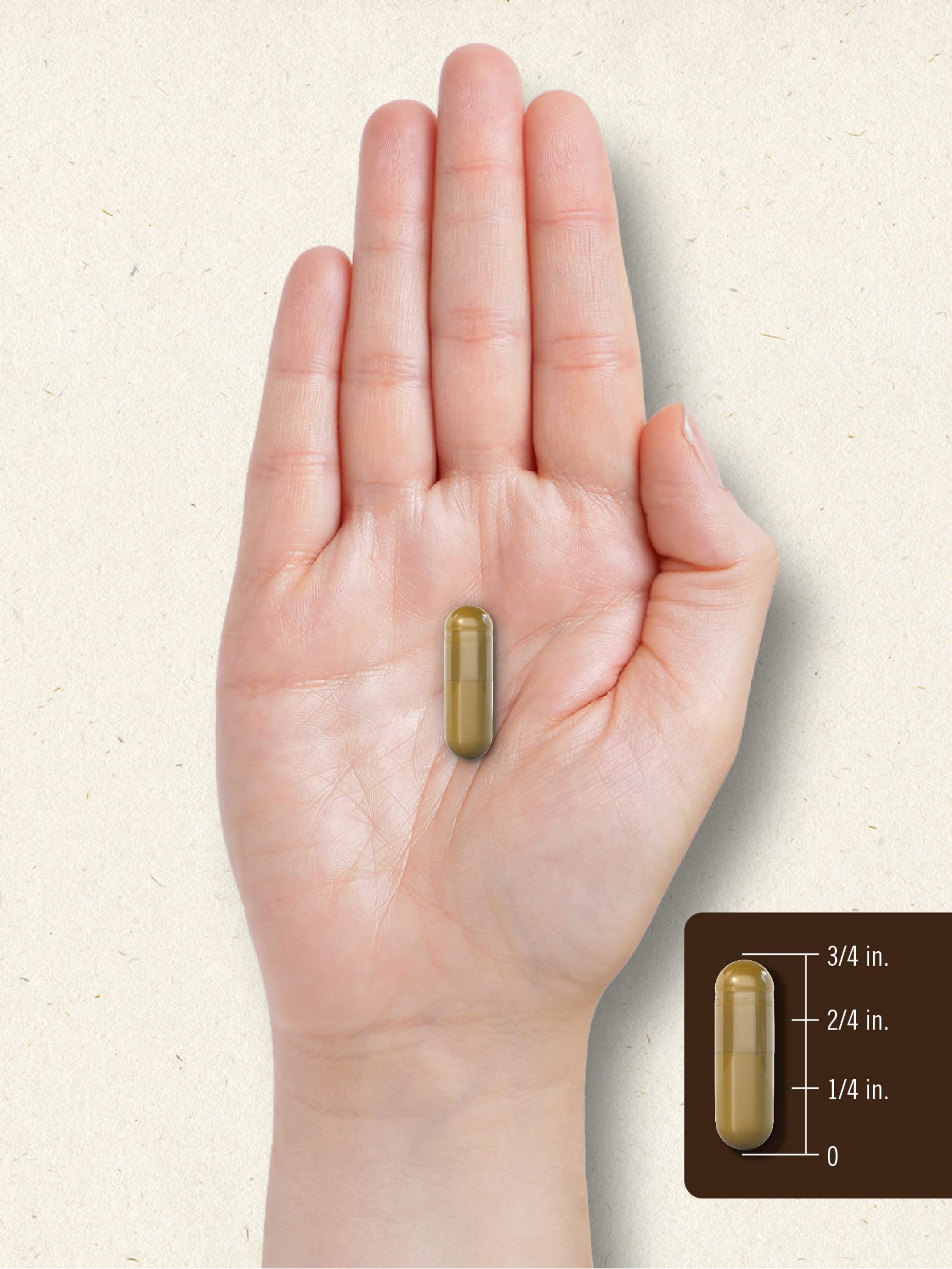Carlyle Bee Propolis capsules close-up showing easy-to-swallow coating for daily use.