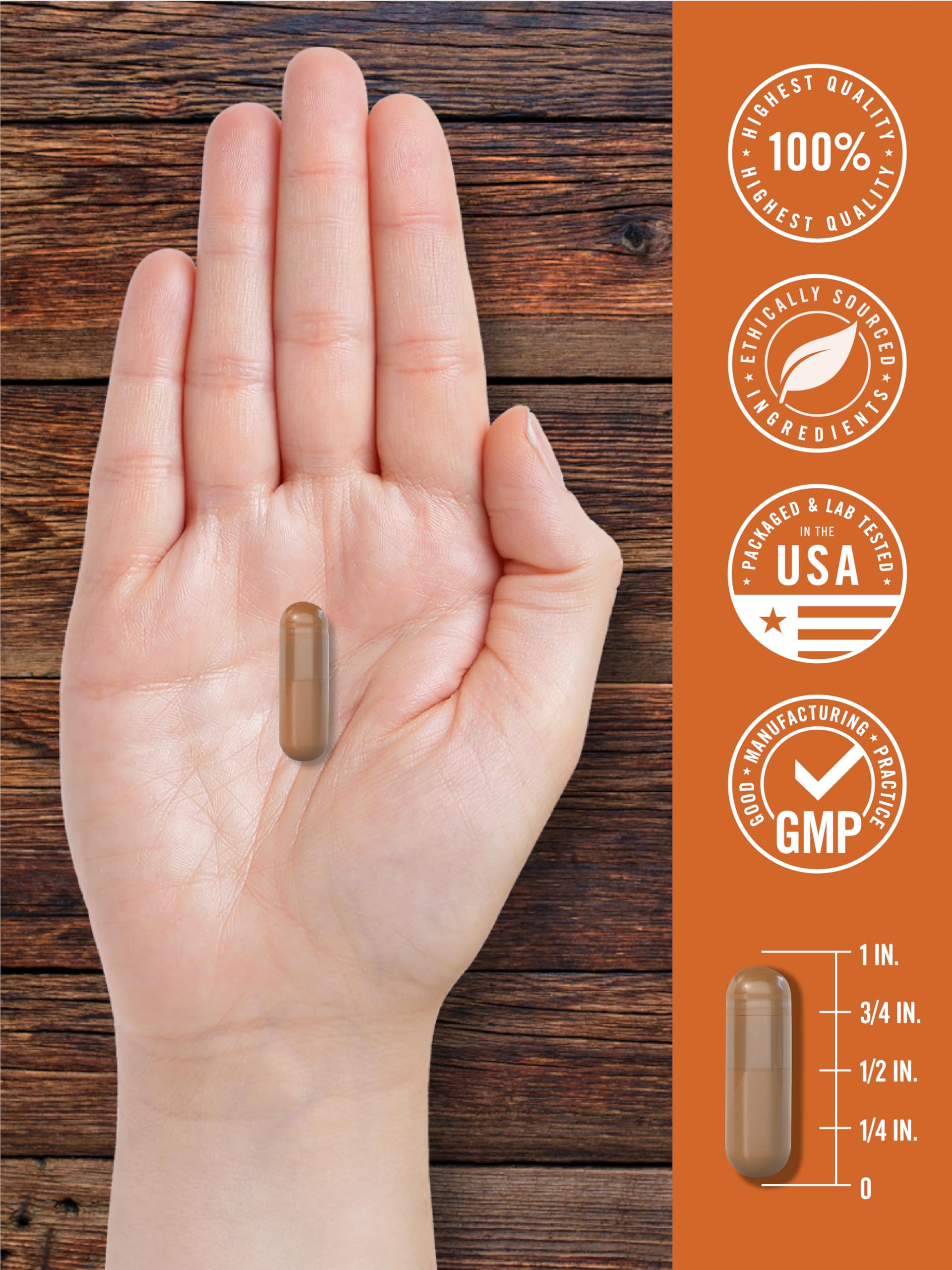 Carlyle product shot ready for shelf display of grass-fed liver capsules.