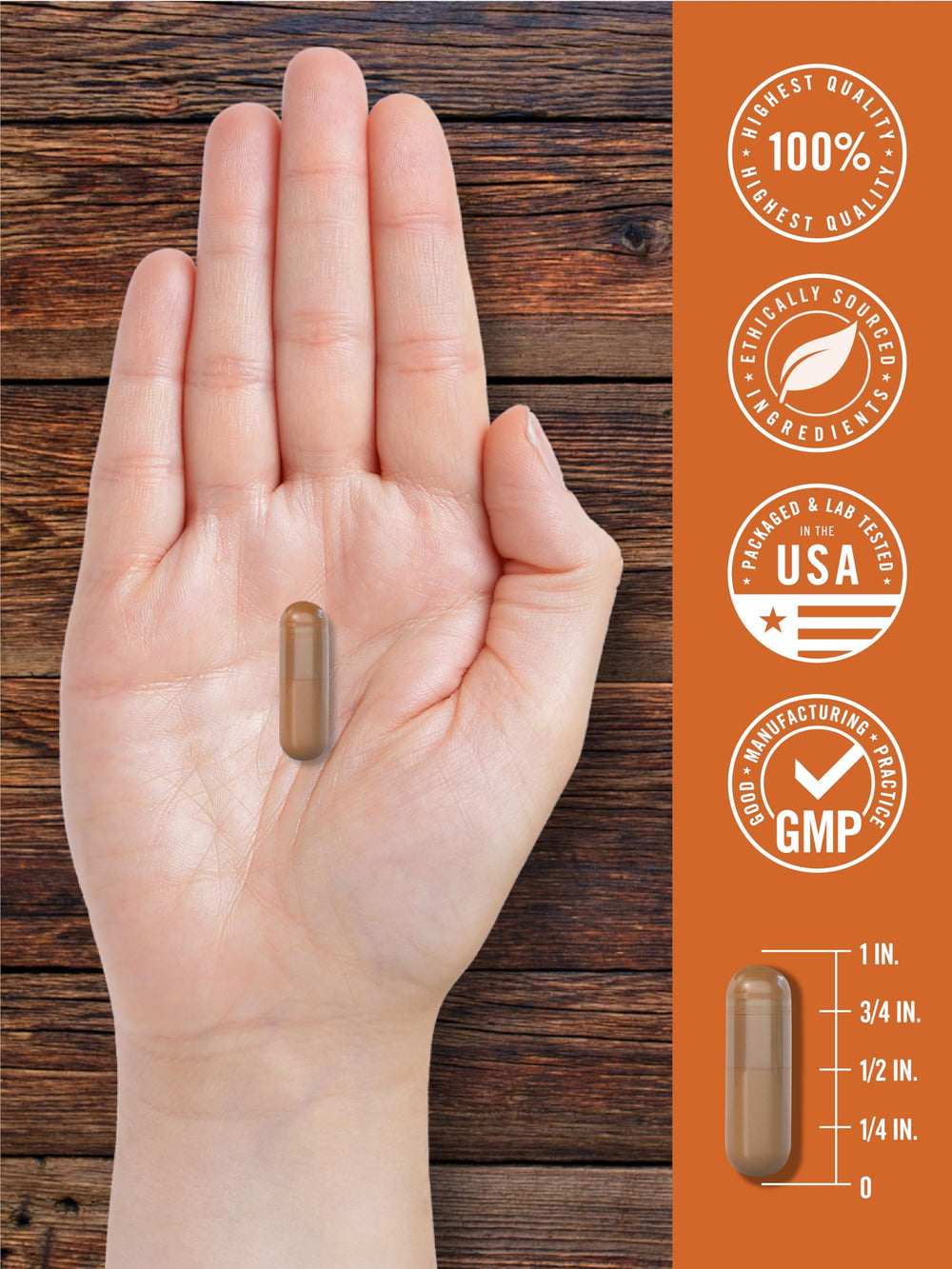 Carlyle product shot ready for shelf display of grass-fed liver capsules.