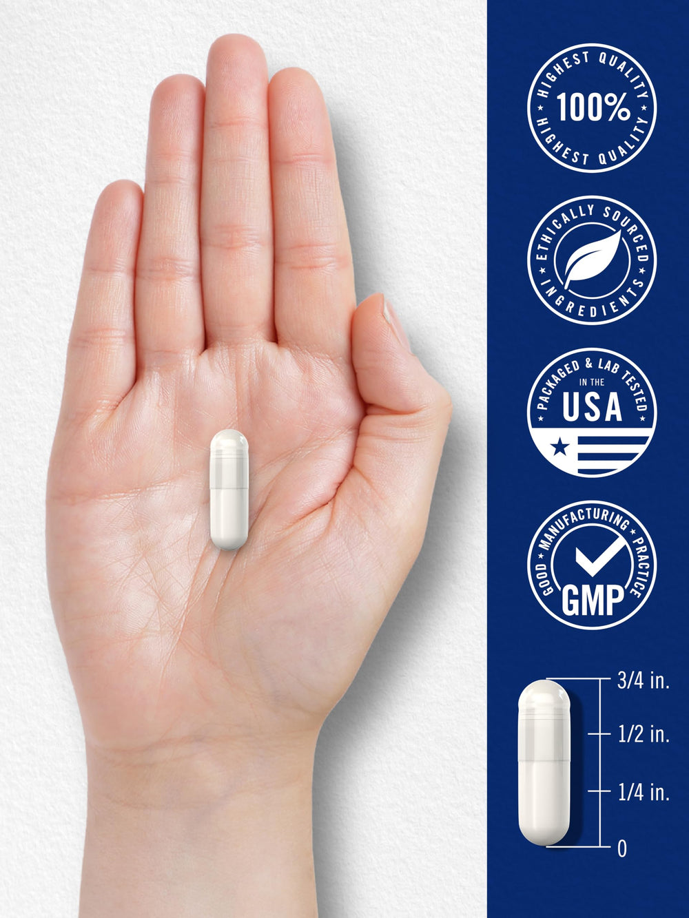 Carlyle L Methylfolate packaging reveals premium quality and research-backed formulation