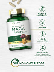 Carlyle Maca Root Capsules being poured for daily supplementation.