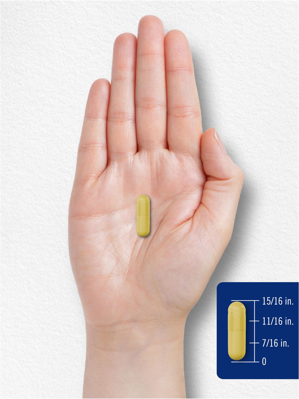 Carlyle Quercetin 500mg zinc-visual suggesting enhanced wellness support.