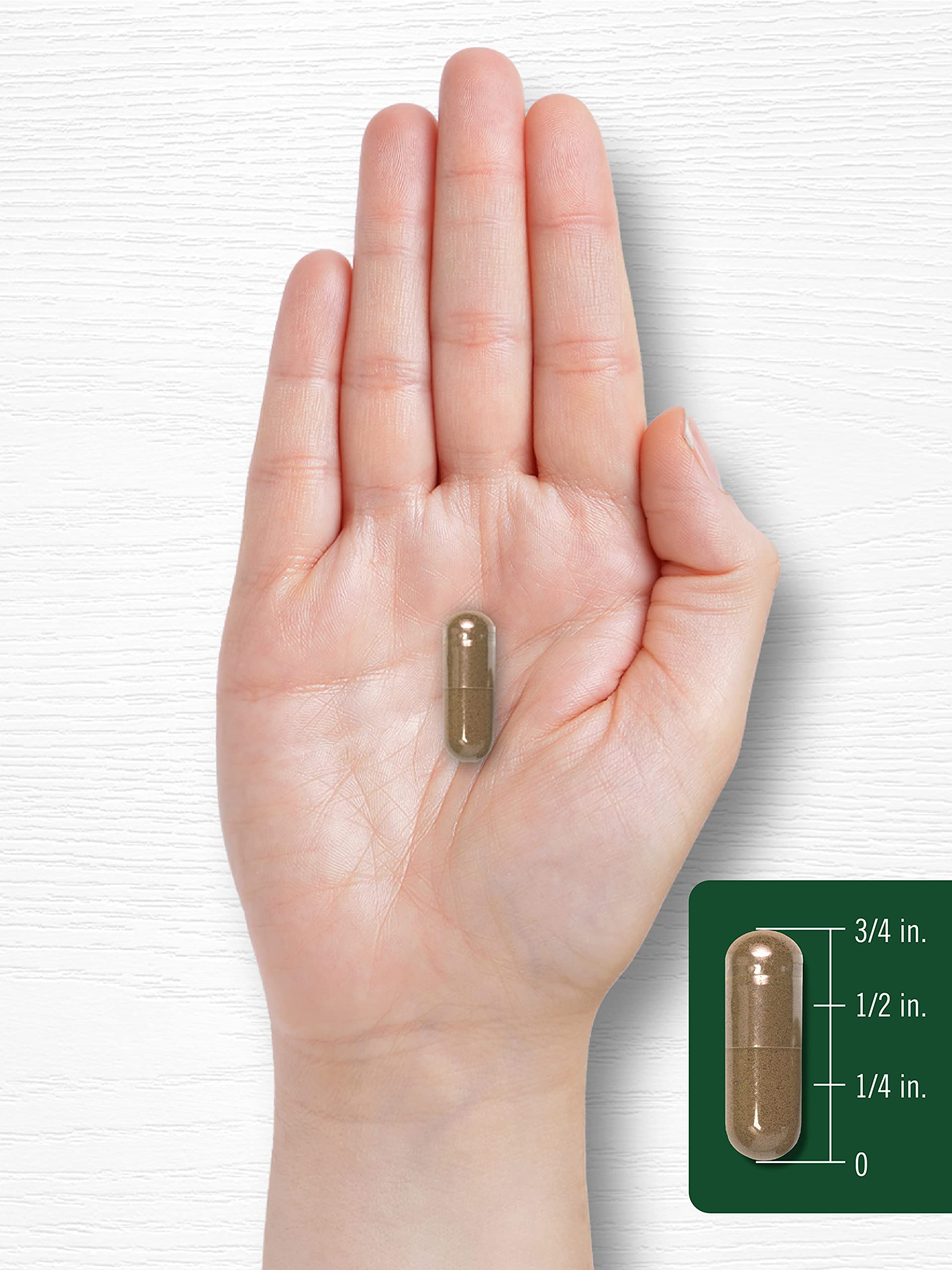 Carlyle Red Clover Capsules in hand for a daily routine.