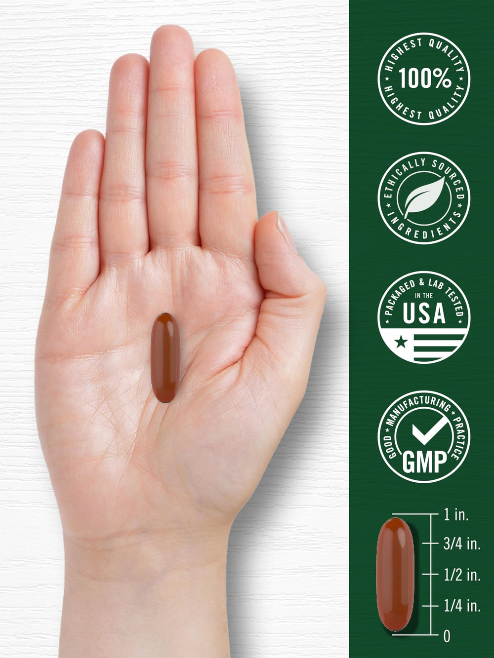 Carlyle Sunflower Lecithin softgels on a clean surface with soy-free label.