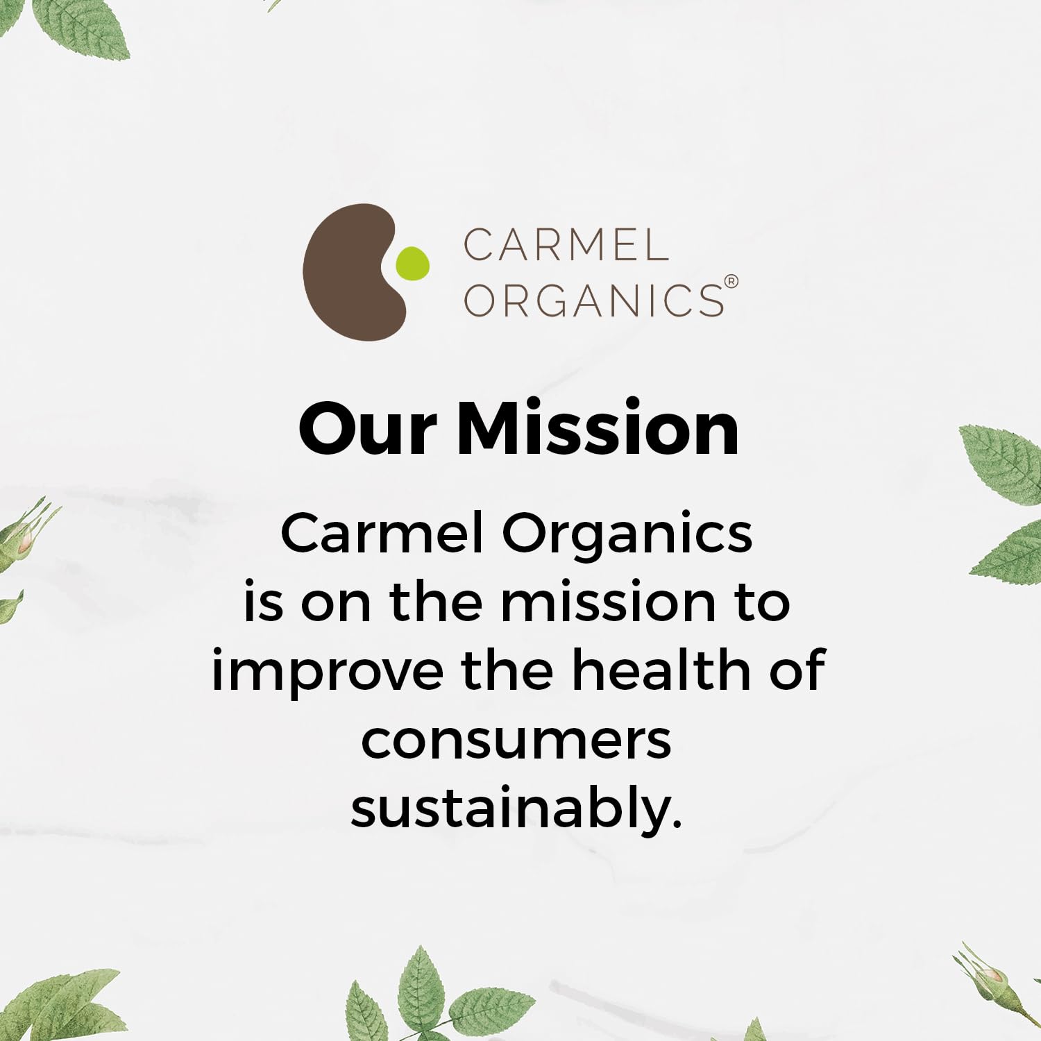 Carmel Organics fenugreek seeds ready to add aroma and depth.