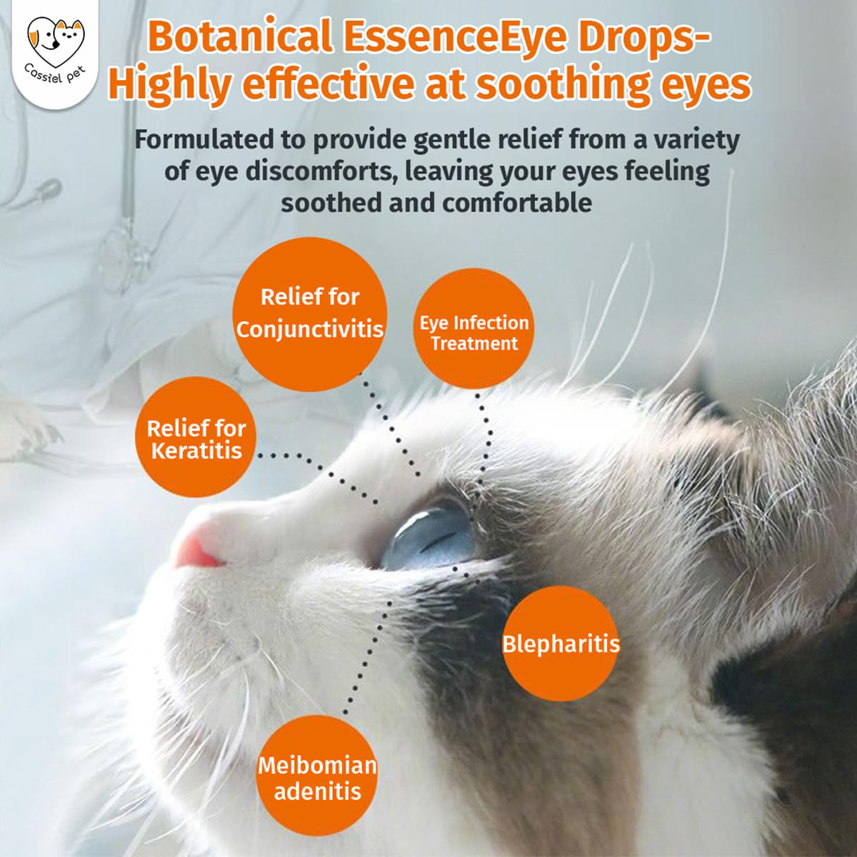 Cassiel Eye Drops soothe cat eye discomfort