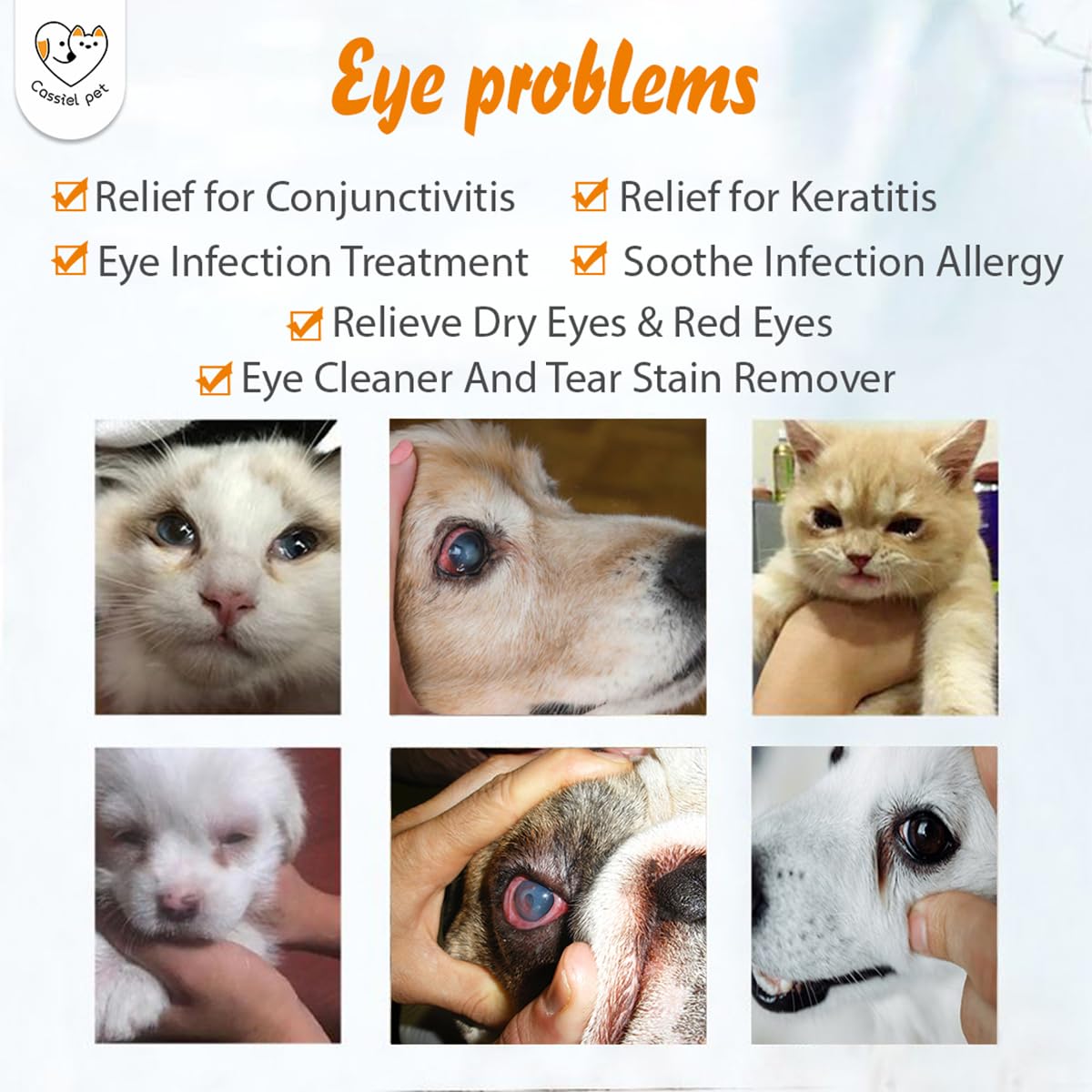 Cassiel pet Eye Drops packaging box shows natural ingredients