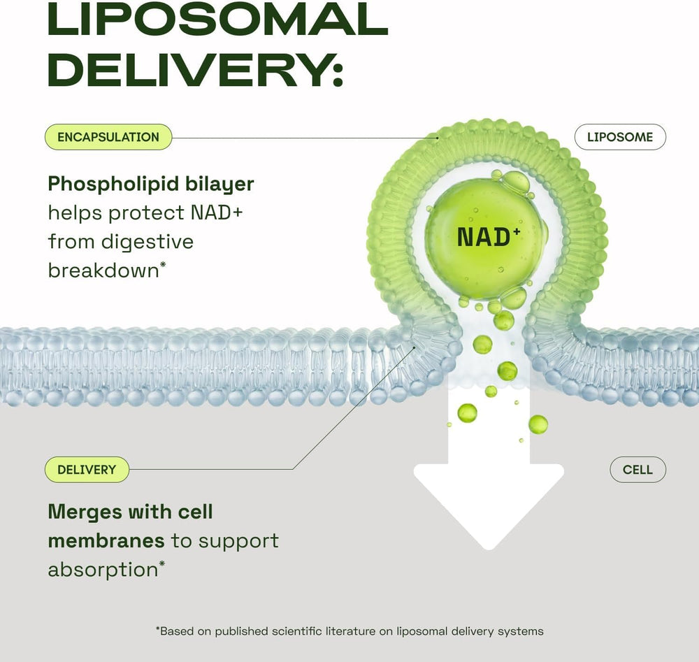 Cata-Kor NAD Core glass with pills conveys portability for on-the-go routines.