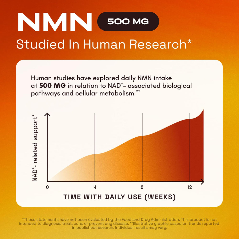 Cata-Kor NMN quercetin ingredient highlight underscores synergy