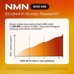 Cata-Kor NMN quercetin ingredient highlight underscores synergy