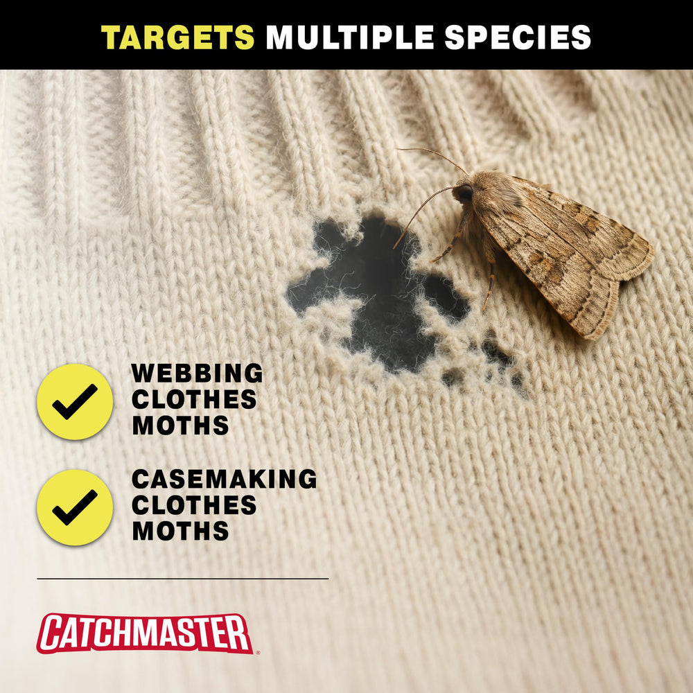 Catchmaster attic storage setup with moth trap protecting textiles.