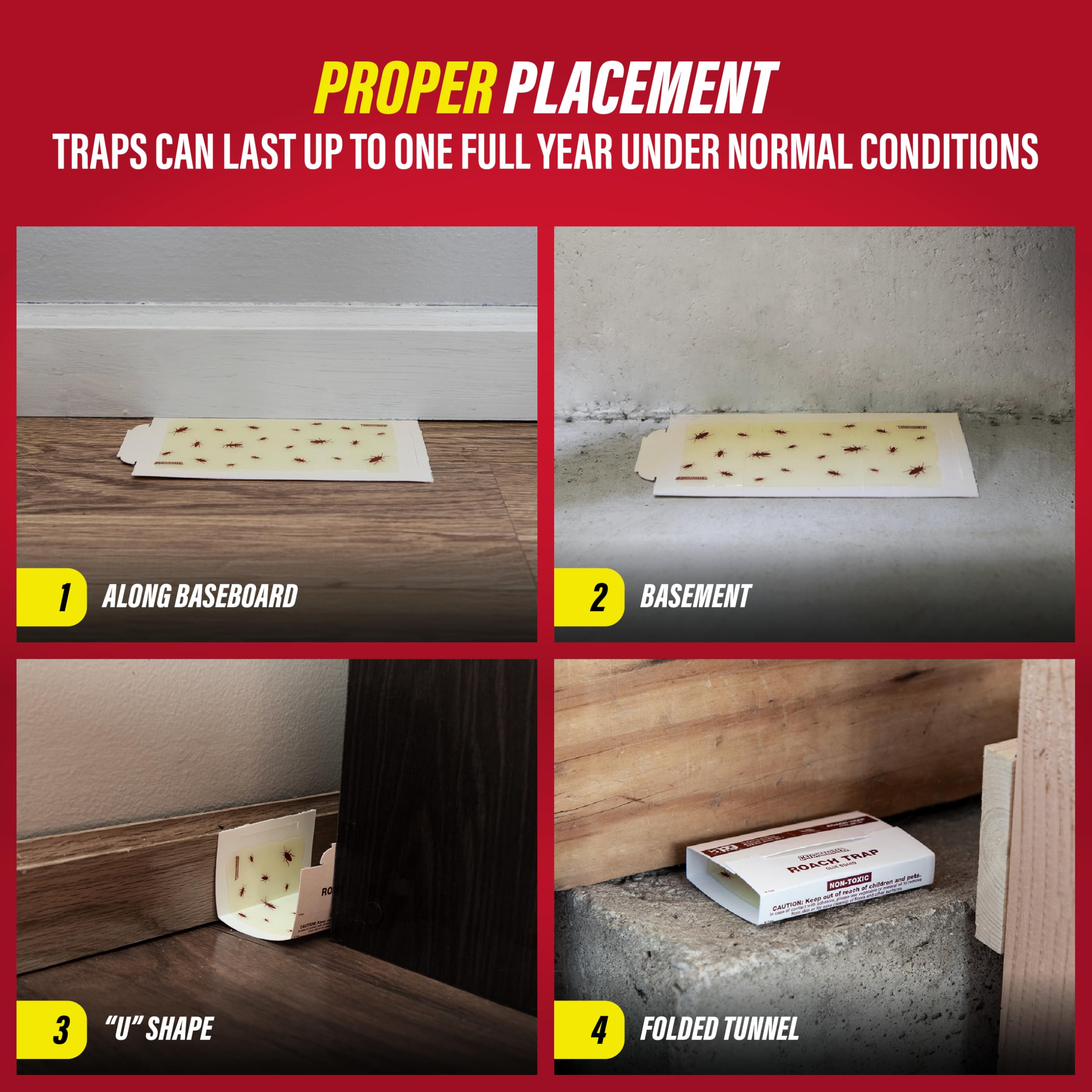 Catchmaster glue board showing indoor insect capture in homes