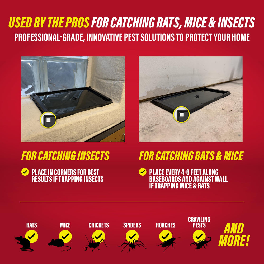 Catchmaster glue trap for indoor damp areas like basements.