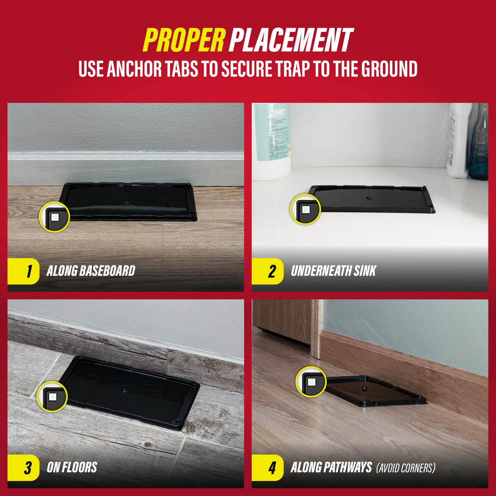 Catchmaster wall-pathway placement supports effective pest capture along routes.