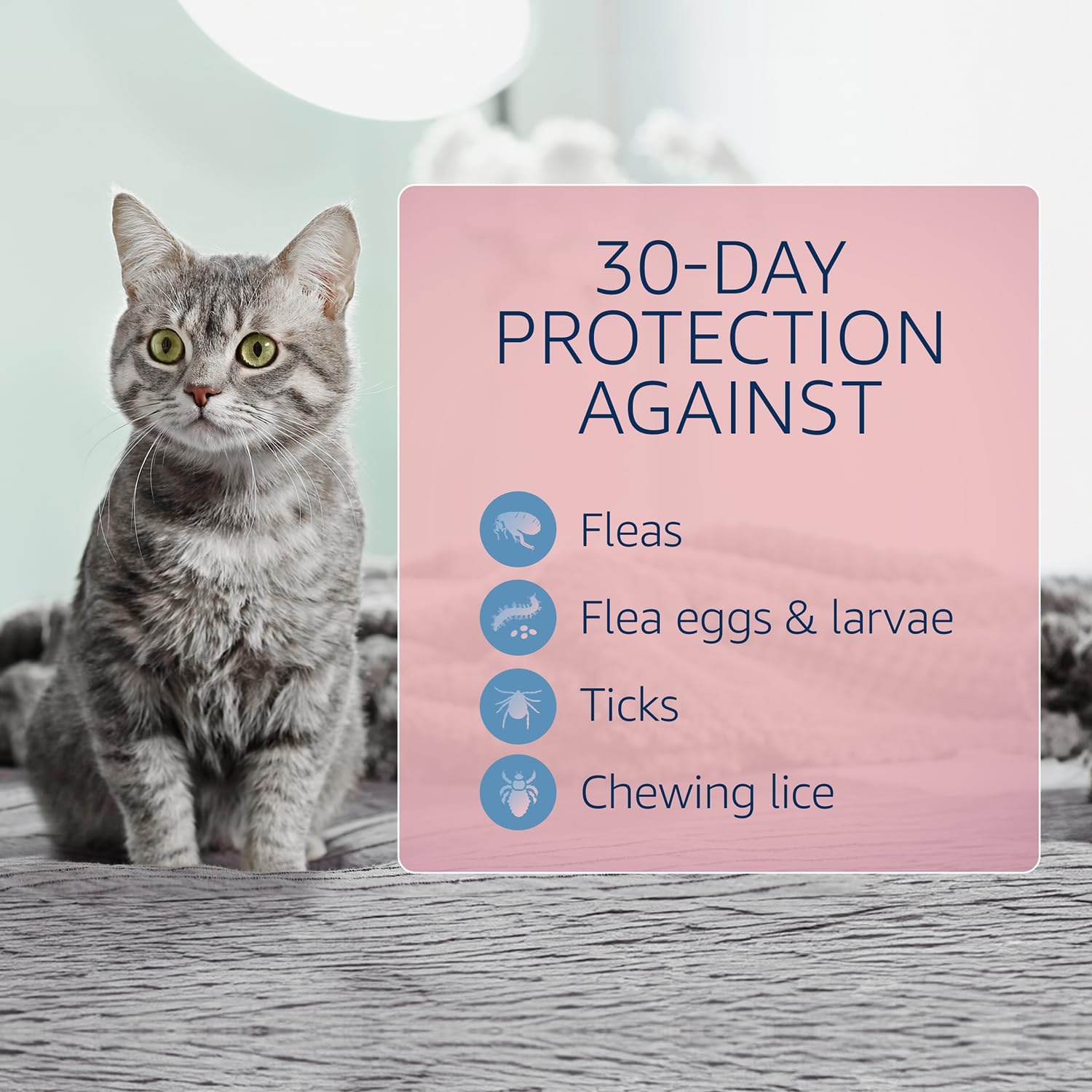 Catego for Cats non-greasy finish after application on coat.