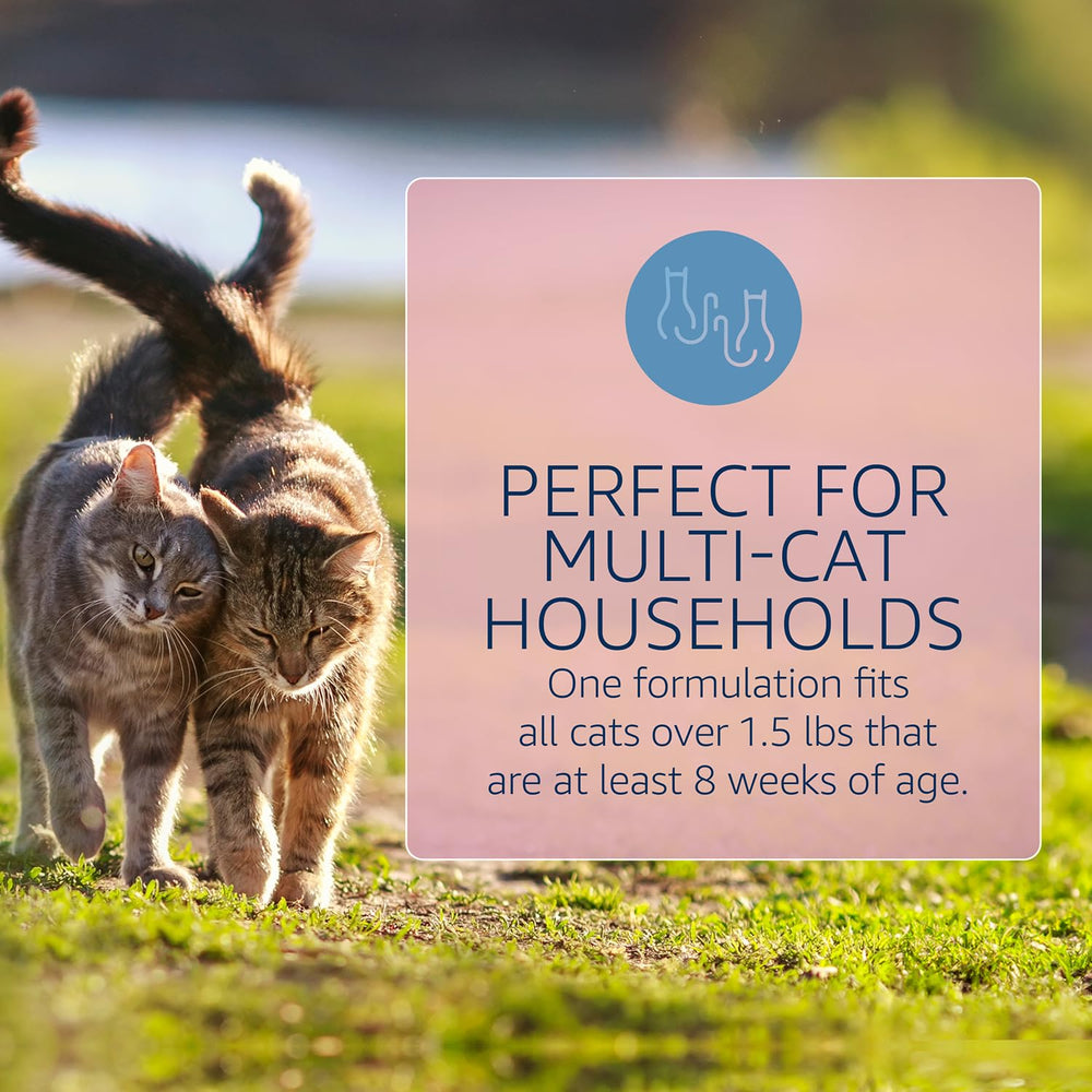 Catego for Cats provides monthly protection for cats.