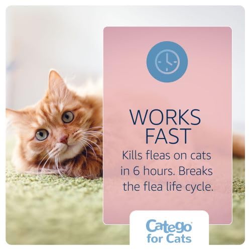 Catego for Cats full-body coverage provides a month of protection for the cat.