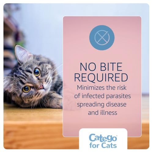 Catego for Cats kills fleas within six hours on contact.